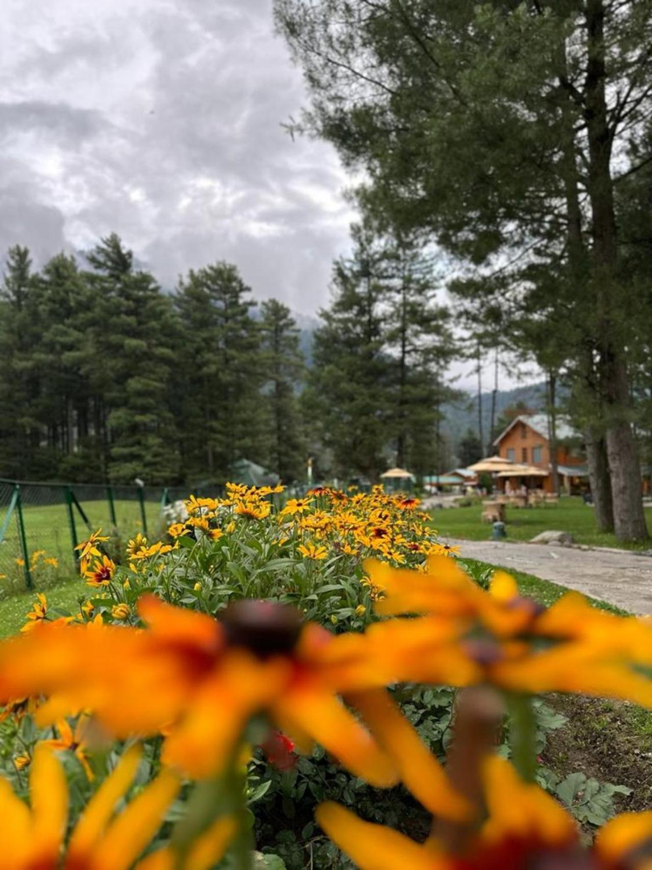 Radisson Golf Resort Pahalgam Bagian luar foto
