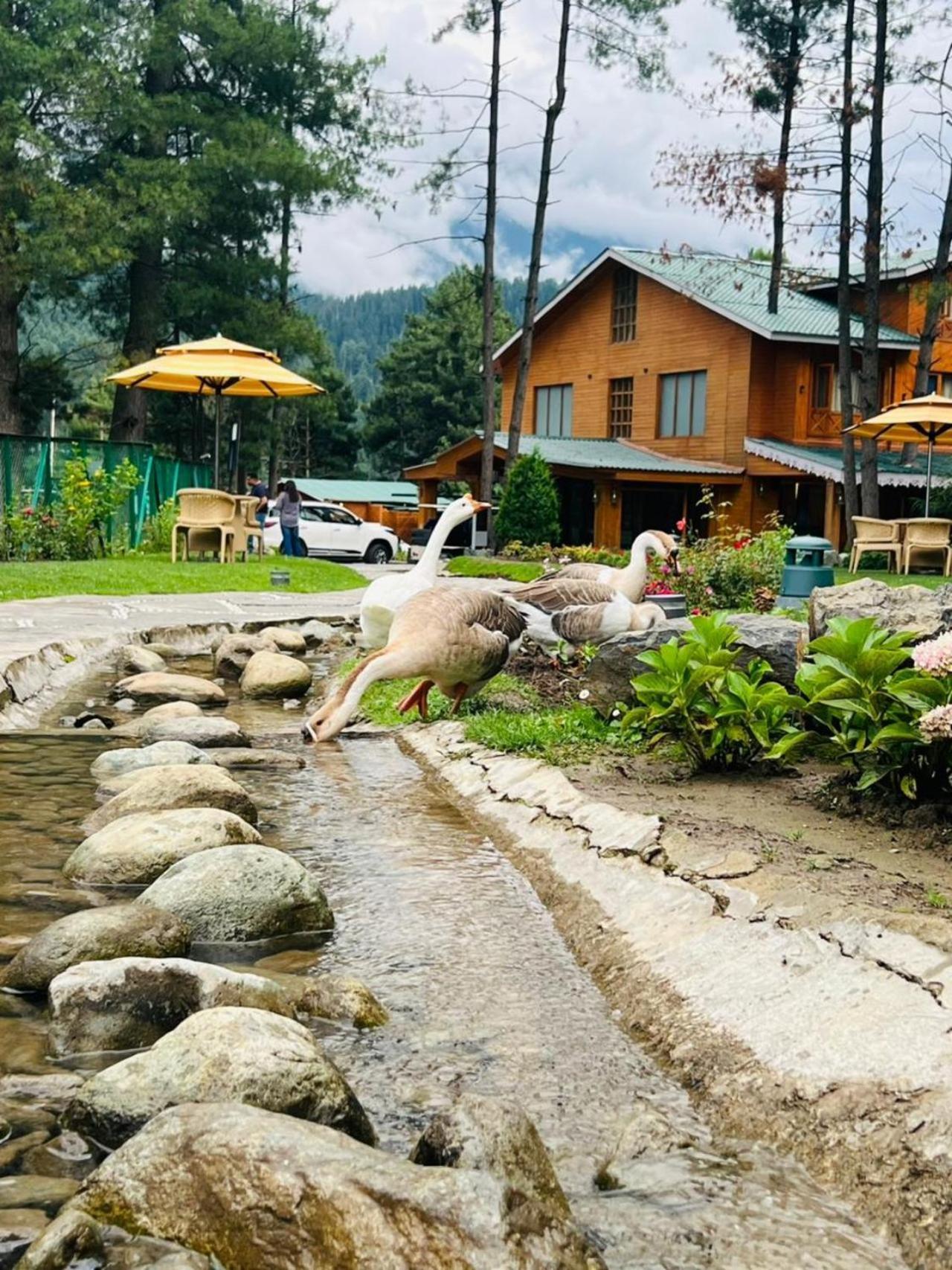 Radisson Golf Resort Pahalgam Bagian luar foto
